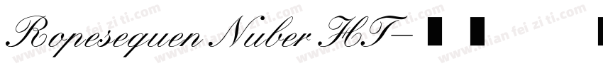 Ropesequen Nuber HT字体转换
